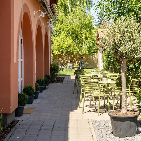 Delceg Rece Minihotel Balatonkenese